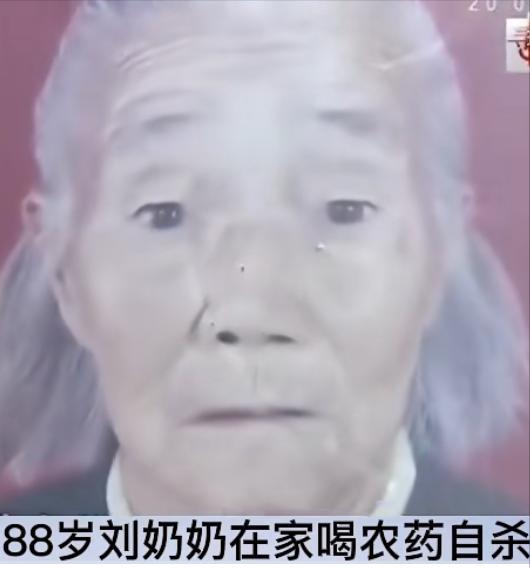 湖南88岁老太喝药自杀，三儿子围看等老人咽气，放话她早该死了!