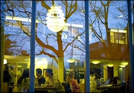 休斯顿大学全美排名,休斯顿大学全球排名