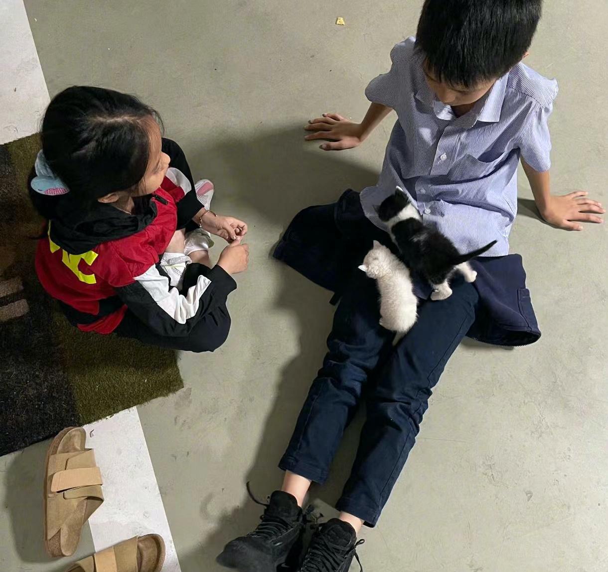 孙俪晒带儿女游玩照,孙俪晒与亲妹妹同框照