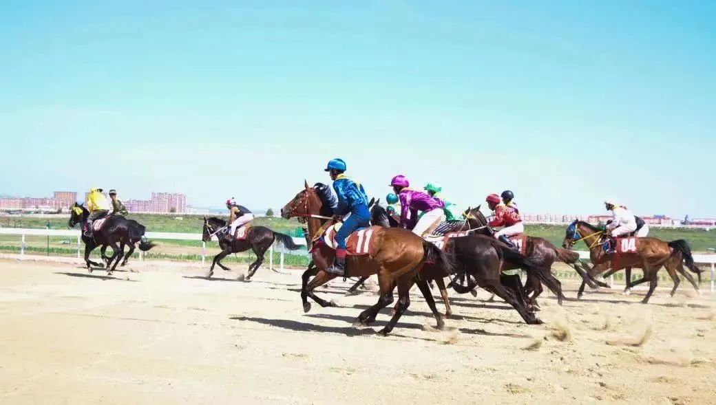 回首2021这一年,回顾2019精彩体育瞬间