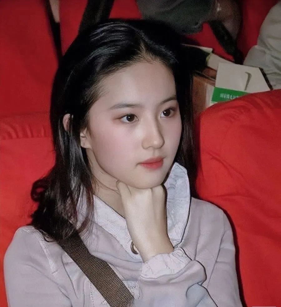 刘亦菲母亲刘晓莉：64岁两婚两离，如今是单身贵族，比女儿美多了