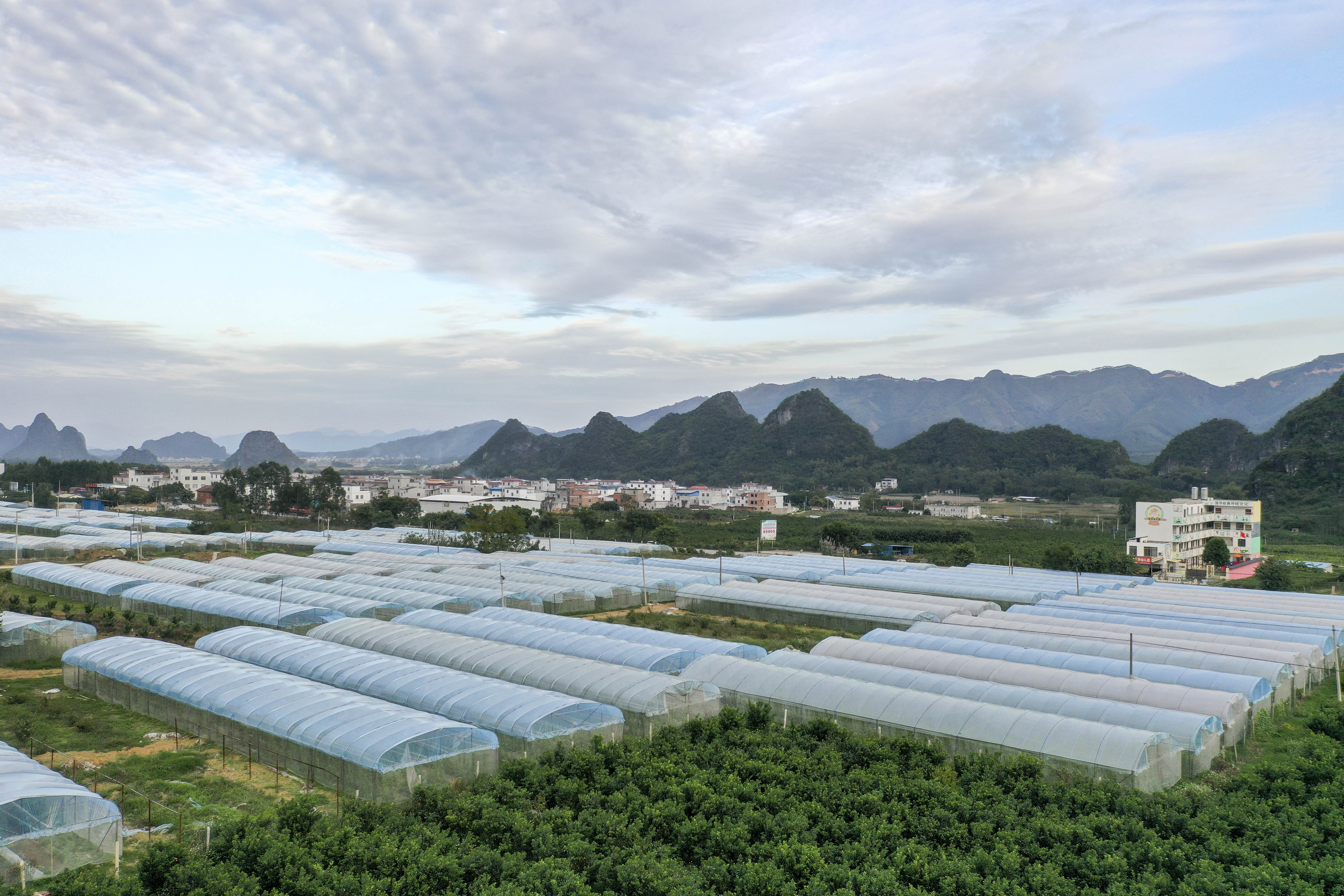 可爱的乡村幼儿,可爱的乡村民谣