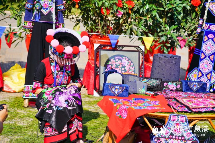 遇见楚雄直播回放,遇见楚雄现场直播