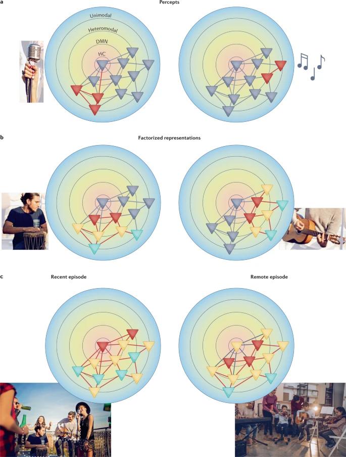 你休息的时候干什么,大脑休息时也在对知识进行整合