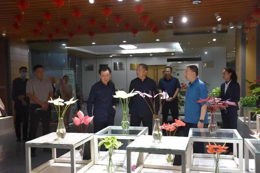 王健林现身河南,王健林最新行程表