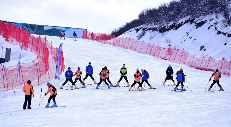 回眸北京冬奥丨老将奋进新秀不断四川冰雪未来可期