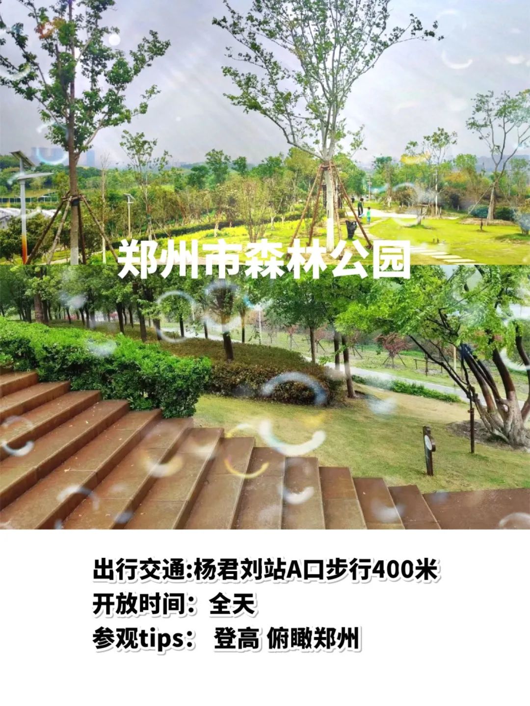 郑州地铁线游玩攻略晚上,郑州地铁4号线站点全程路线图